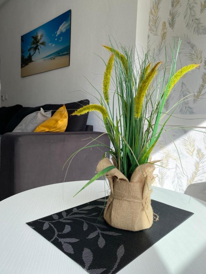 Sunshine Apartment Torrevieja Zewnętrze zdjęcie