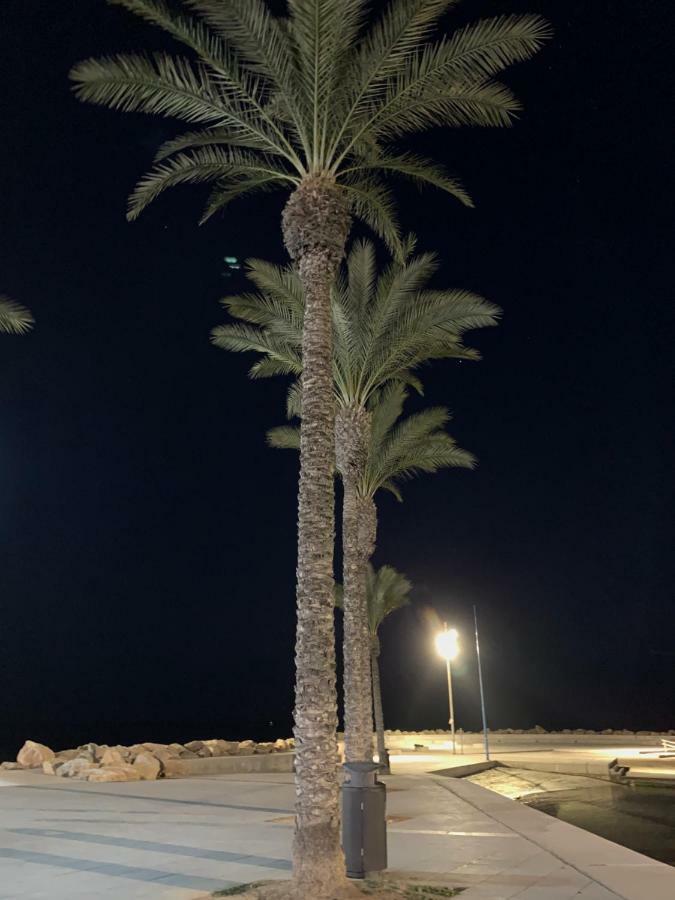 Sunshine Apartment Torrevieja Zewnętrze zdjęcie