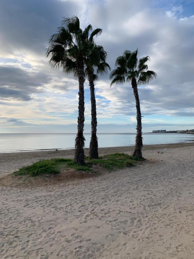 Sunshine Apartment Torrevieja Zewnętrze zdjęcie